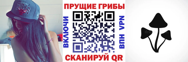 Галлюциногенные грибы Psilocybe  закладка  площадка какой сайт  Ейск 