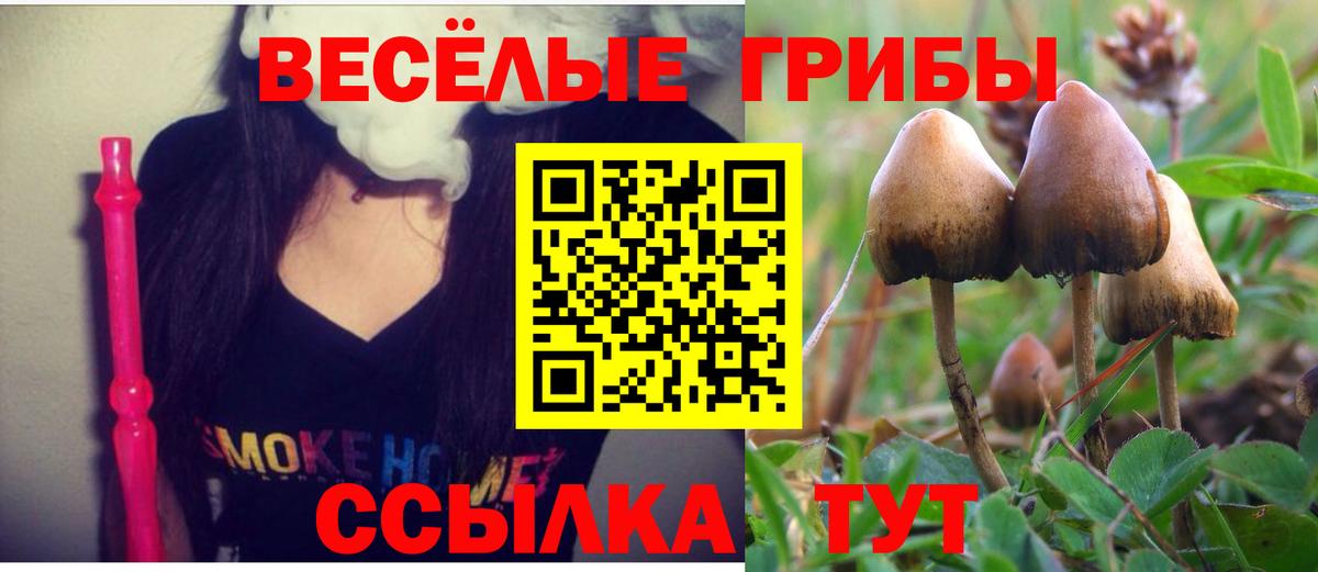 Галлюциногенные грибы мицелий Ейск