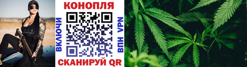 Шишки марихуана THC 21%  продажа наркотиков  Ейск 